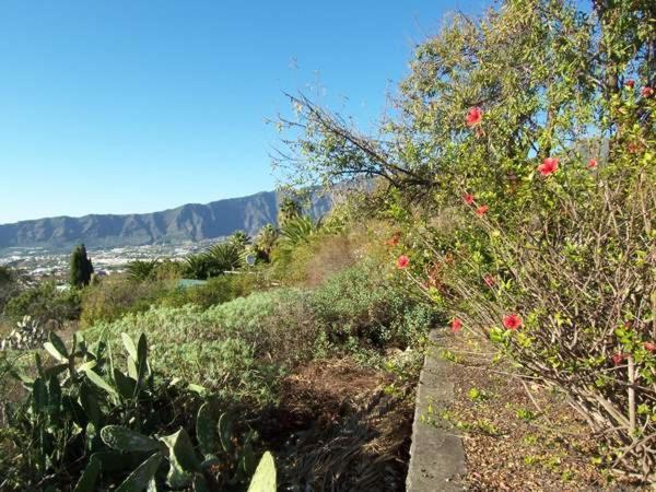 Casitas Vista Valle Bajo เอลปาโซ ภายนอก รูปภาพ